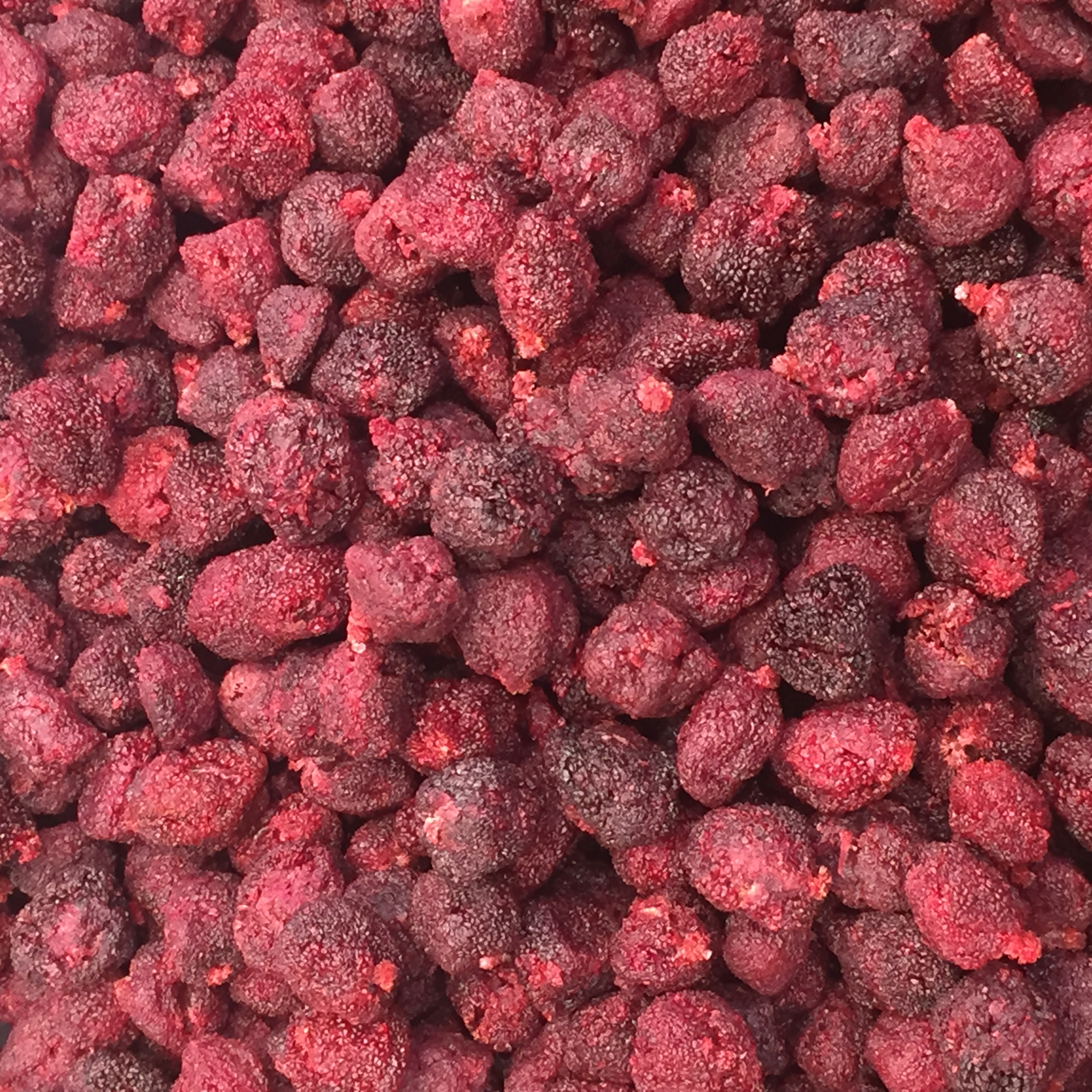 동결건조 밈을 상징적으로 보여주는 동결건조 딸기 사진