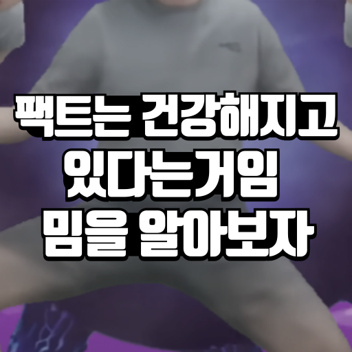 정상화 밈을 설명한 공개 블로그 글의 대표 이미지. 최근 커뮤니티에서 '팩트는 건강해지고 있다는 거임'과 함께 소비되는 정상화 밈 흐름을 다 룬 자료입니다